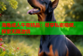海角成人午夜精品：尽享私密视频，探索无限激情