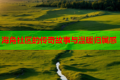 海角社区的传奇故事与温暖归属感