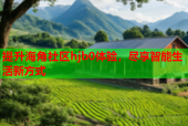 提升海角社区hjb0体验，尽享智能生活新方式