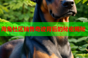 海角社区销售奇迹背后的秘密揭秘