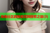 海角社区的秘密花园探索之旅(3)
