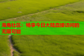 海角社区：畅享今日大陆直接访问的无限可能