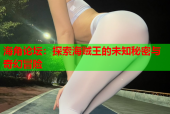 海角论坛：探索海贼王的未知秘密与奇幻冒险