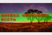 连接邻里生活，畅享互动与服务的海角社区平台