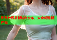 海角社区最新域名发布，安全畅游新体验