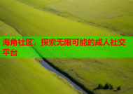 海角社区，探索无限可能的成人社交平台