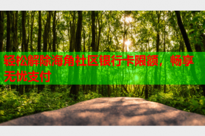 轻松解除海角社区银行卡限额，畅享无忧支付