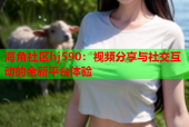 海角社区hj590：视频分享与社交互动的全新平台体验