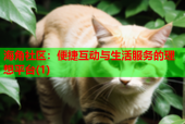 海角社区：便捷互动与生活服务的理想平台(1)