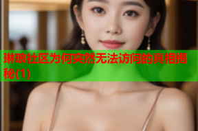琳琅社区为何突然无法访问的真相揭秘(1)