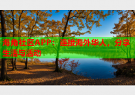 海角社区APP：连接海外华人，分享生活与活动