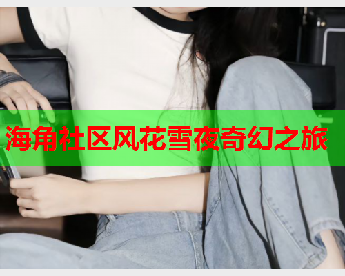 海角社区风花雪夜奇幻之旅  第1张