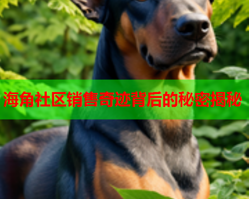 海角社区销售奇迹背后的秘密揭秘  第1张