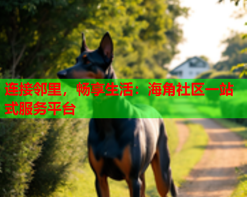 连接邻里，畅享生活：海角社区一站式服务平台  第2张