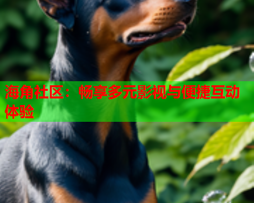 海角社区：畅享多元影视与便捷互动体验  第2张