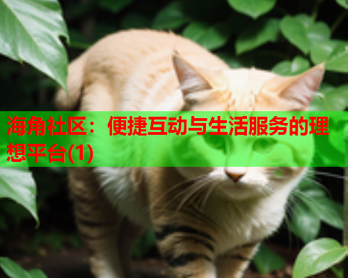 海角社区：便捷互动与生活服务的理想平台(1)  第1张