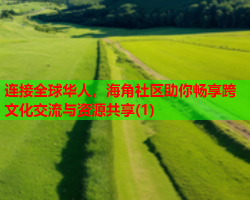 连接全球华人，海角社区助你畅享跨文化交流与资源共享(1)  第1张